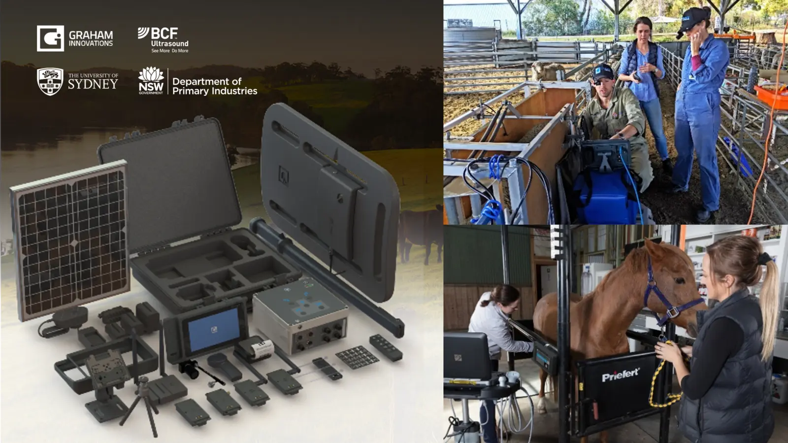 Intelligent Livestock Management