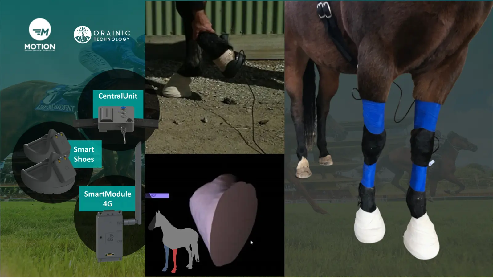 Smart Horseshoe Recovery Monitoring